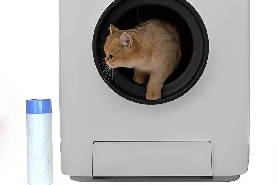 automatic kitten