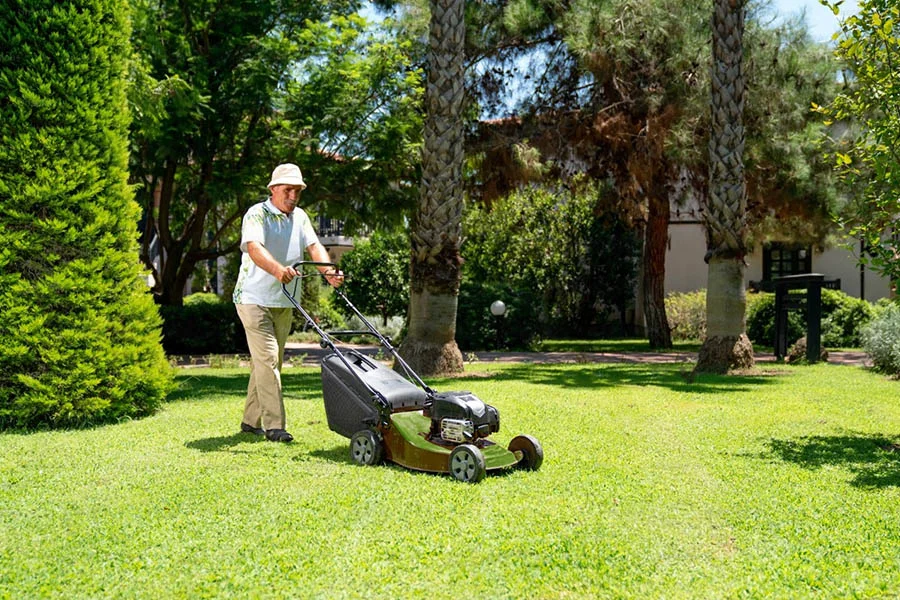 small lawn mower cordless