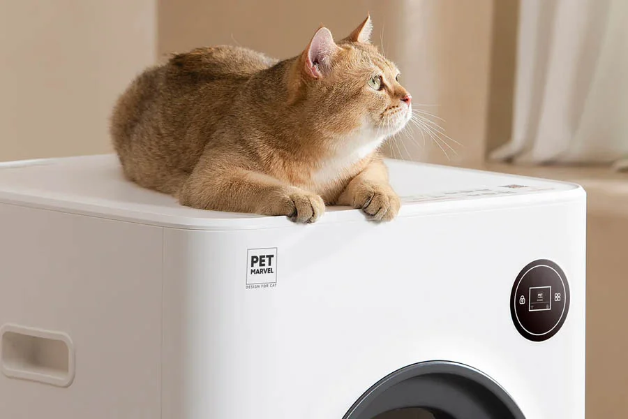 automatic kitten litter box